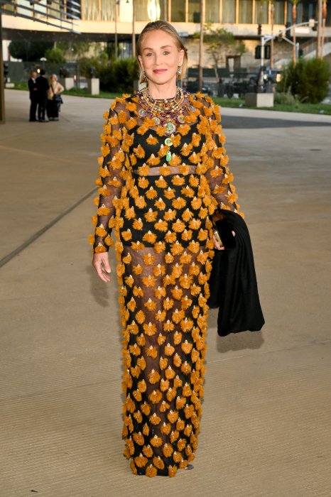 Шерон Стоун — модна прозора сукня