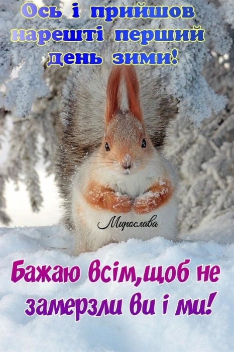 Поздравляем с приходом зимы! Искренние пожелания и забавные картинки — на украинском языке - фото №1