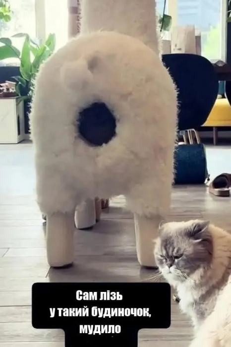 Шутки и мемы о буднях