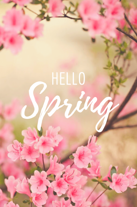 С первым днем весны! Красивые стихи и поздравительные открытки с 1 марта, которые порадуют ваших близких - фото №2