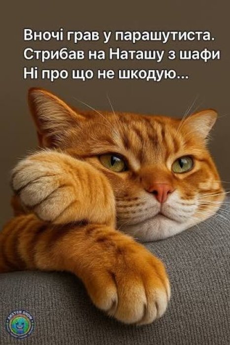 Смешные шутки о прыжках с парашютом