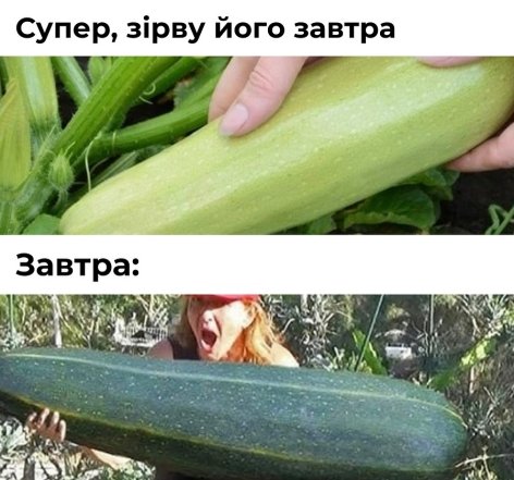 Як українці жартують про урожай