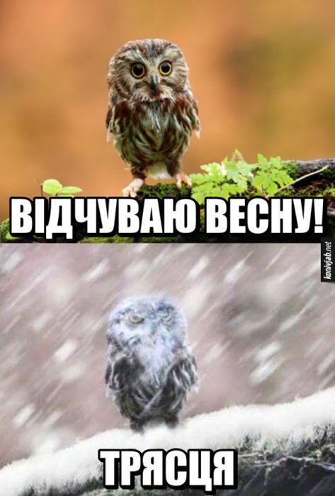 Смешные картинки о марте