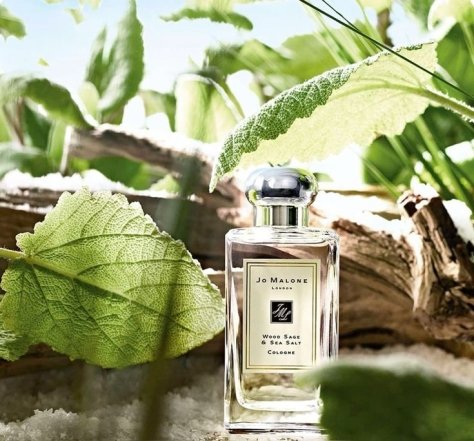 Духи с запахом дождя — Wood Sage & Sea Salt