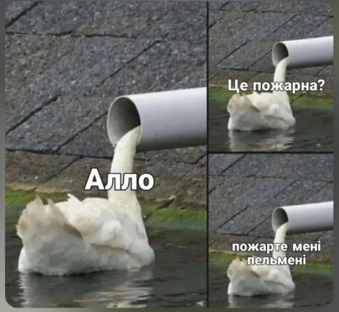 Шутки и мемы о буднях