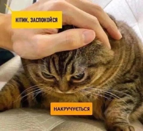 Мемы о тревожности и стрессе