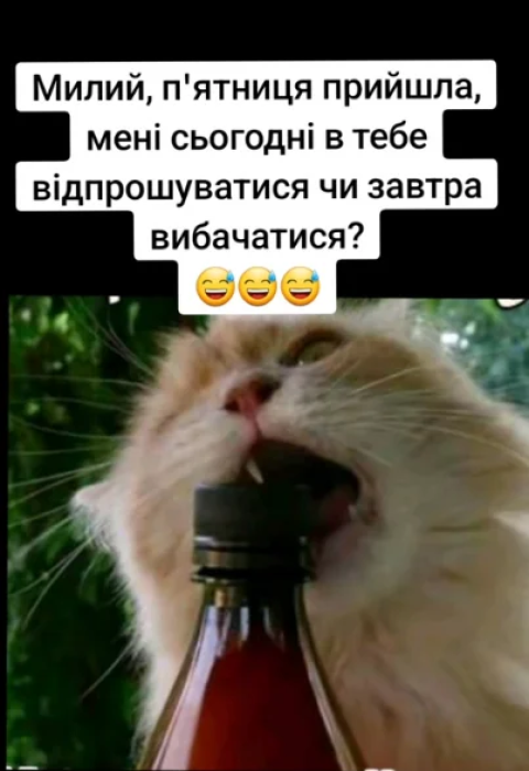 Найкращі меми про п’ятницю