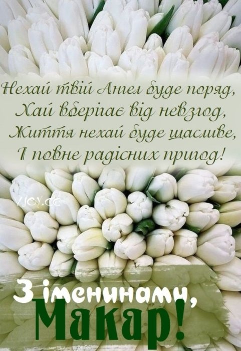 з днем ангела макара