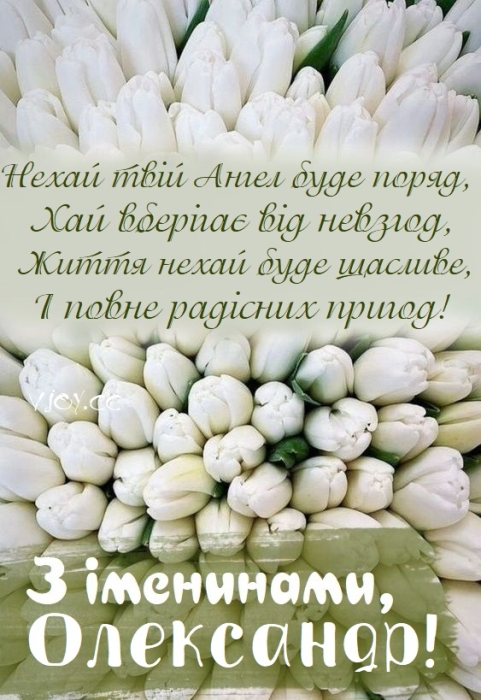 Букет білих тюльпанів, фото