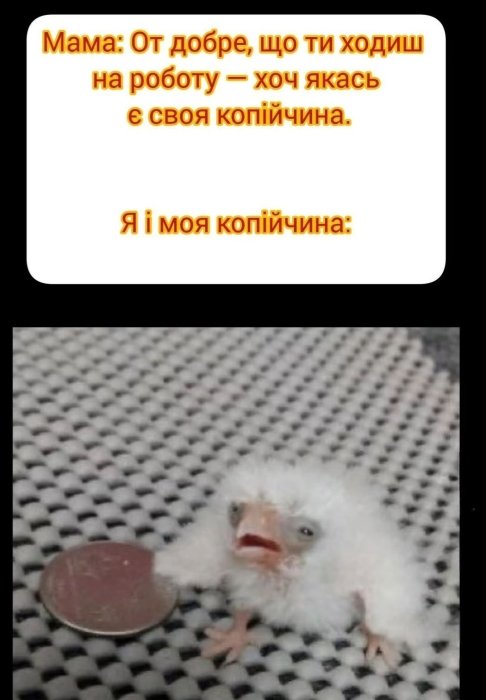 Приколы о финансах и расходах