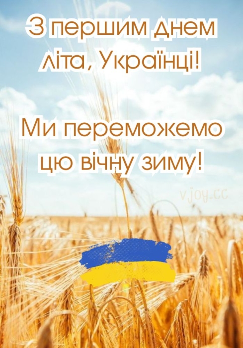 Колосья, флаг Украины, фото