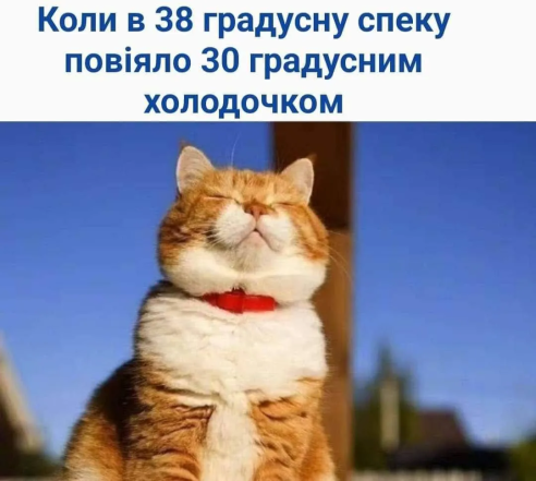 Шутки о жаре и осенней прохладе