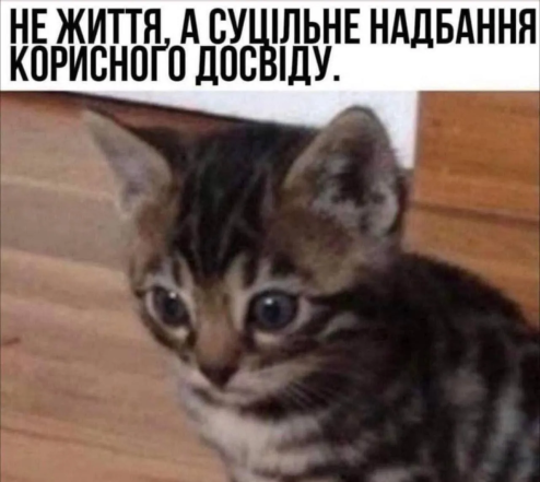 Мемы о тревожности и стрессе
