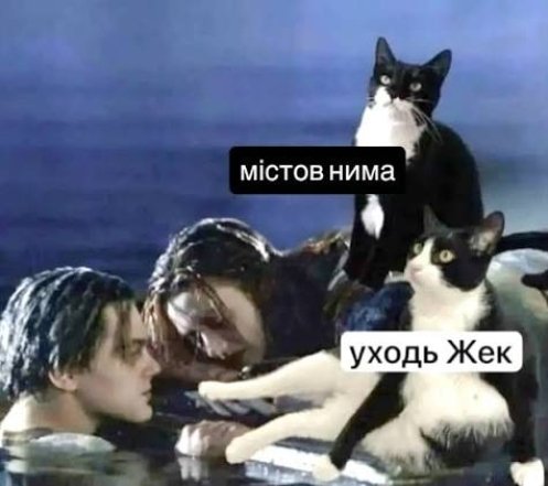 Кумедні картинки та меми про котів