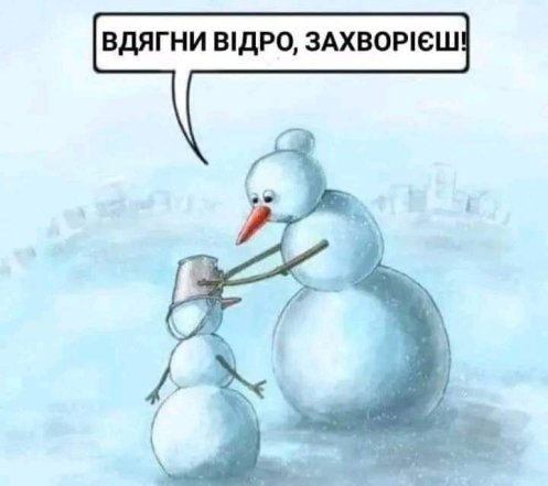 Жарти і меми про зимову пору