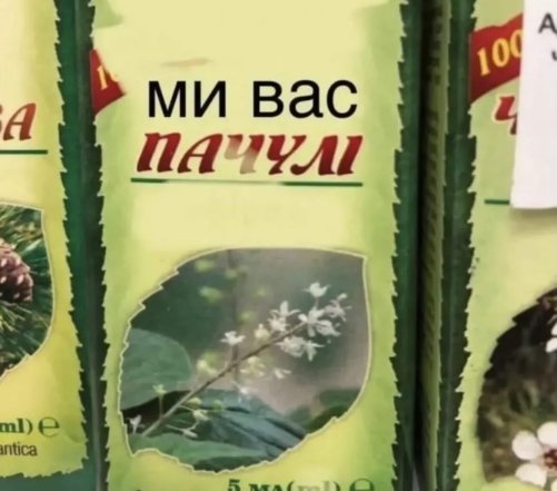Смішні фрази та неправильно почуті слова