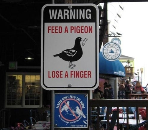 Знак, що не можна годувати птахів