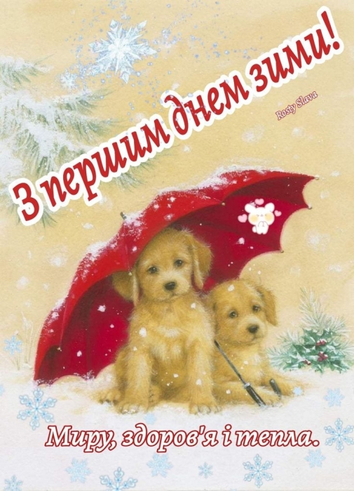 Вітаємо з приходом зими! Щирі побажання та забавні картинки — українською - фото №21