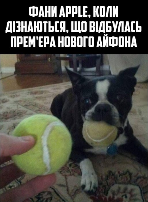 Смішні анекдоти та приколи про iPhone 17
