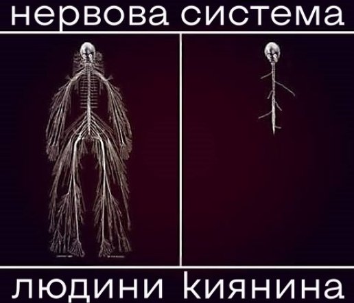 Подборка мемов о нервах