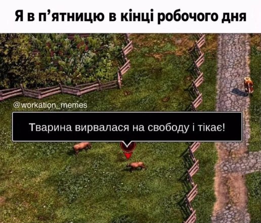 Жизненные мемы о работе в офисе