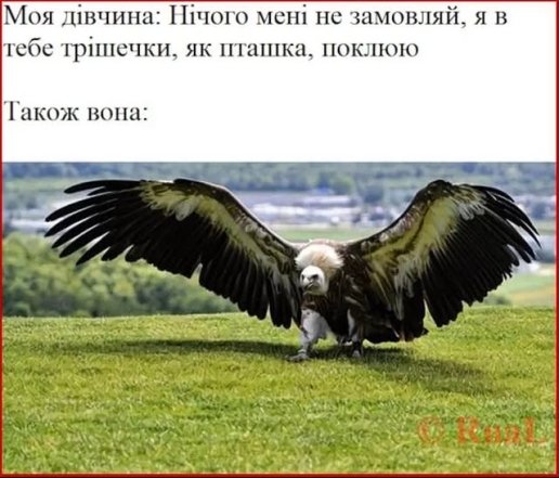 Позитив на каждый день