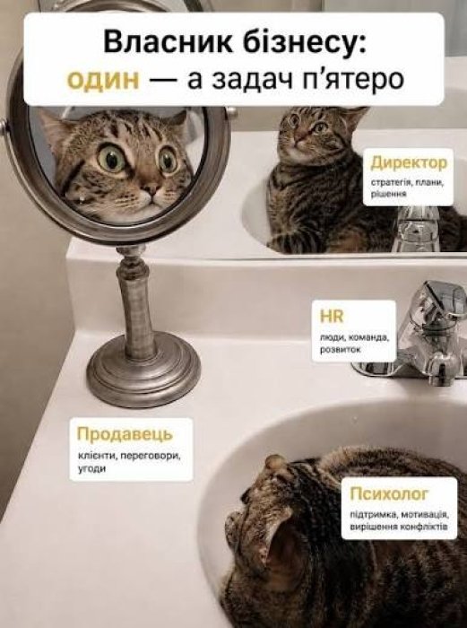 День предпринимателя: приколы, анекдоты и смешные картинки по случаю праздника