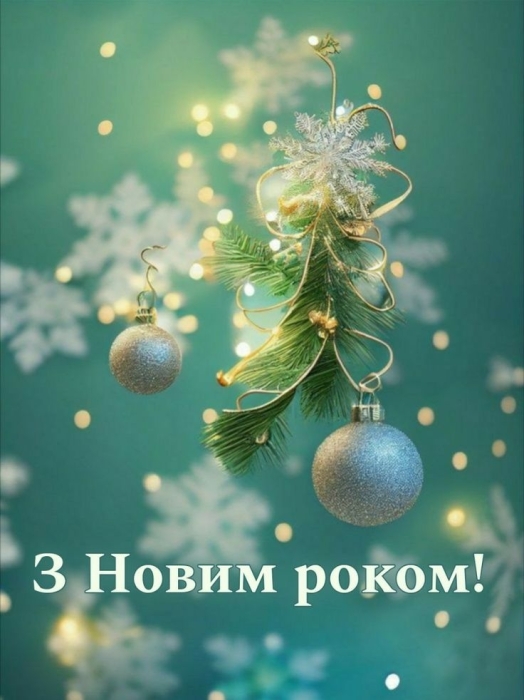 Дякуємо за Новий 2024 рік, наші любі ЗСУ! Низький уклін та найкращі побажання — українською - фото №6