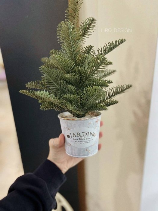 Компактная живая елка в горшке на небольшой тумбе