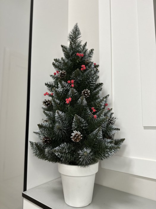 Компактная елка в горшке в углу комнаты для новогоднего декора.