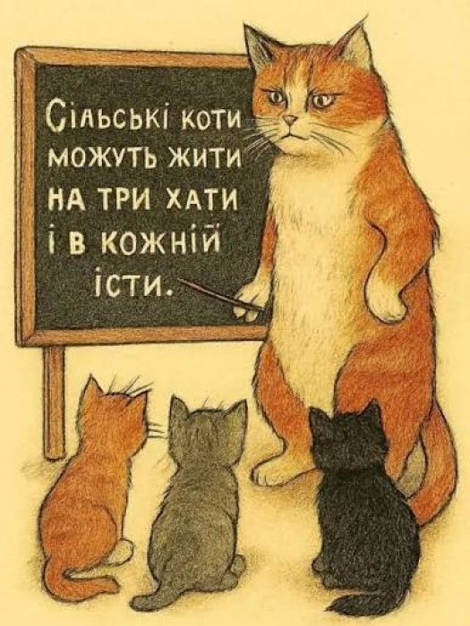 Кумедні картинки та меми про котів