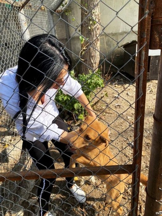 Дружина Кирила Буданова: чим займається, де зараз та як виглядає Маріанна Буданова