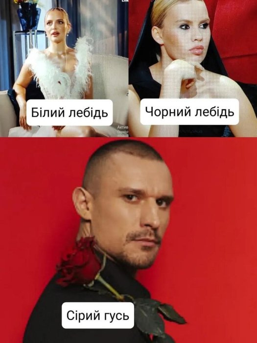 Новый сезон Холостяк-14