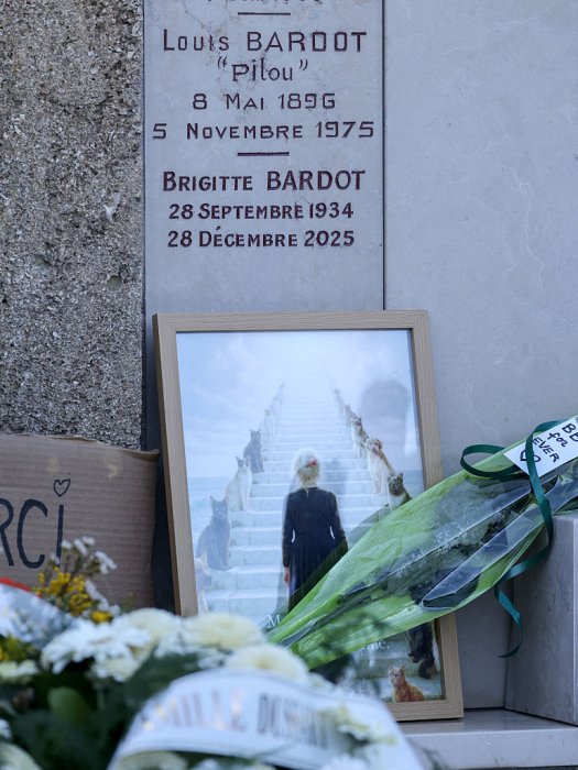 Как выглядит могила Бриджит Бардо — фото