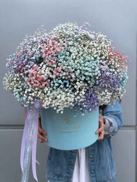 Гипсофила, фото