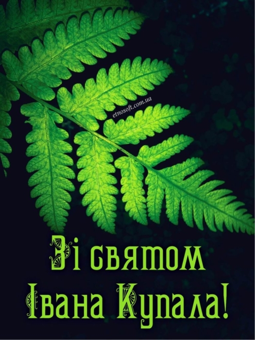 Івана Купала 2023: вітальні картинки і гарні побажання - фото №3