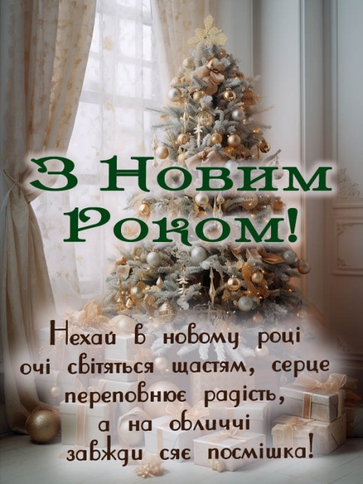 Вітаємо з Новим 2024 роком! Мудрі побажання і тости за Перемогу для всієї сім'ї - фото №2