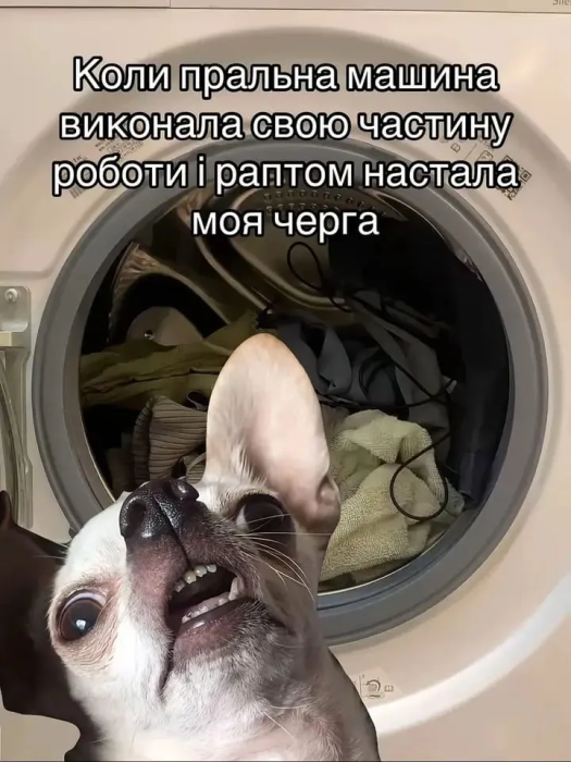 Мемы о тревожности и стрессе
