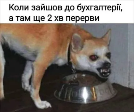 Міжнародний день бухгалтера