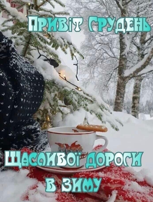 Вітаємо з приходом зими! Щирі побажання та забавні картинки — українською - фото №13