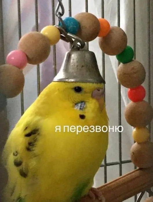 Шутки и мемы о буднях