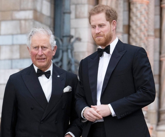 СМИ: принц Чарльз хочет лишить сына принца Гарри и Меган Маркл королевского титула - фото №1