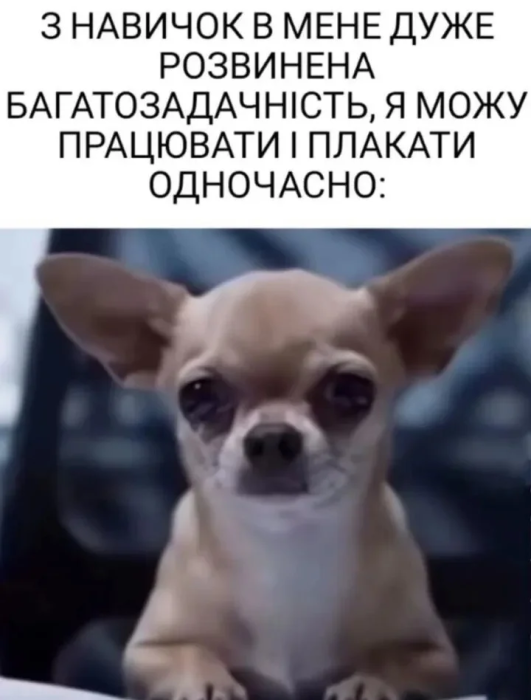 Шутки и анекдоты о кадровых работниках