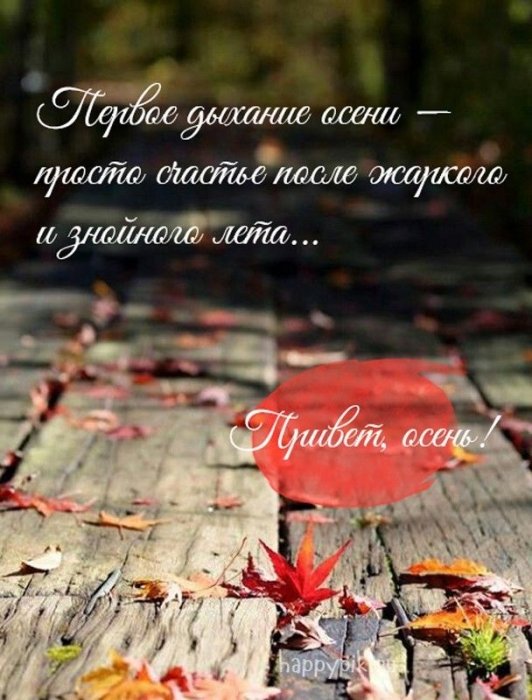 Уютная осень: лучшие пожелания и красивые открытки