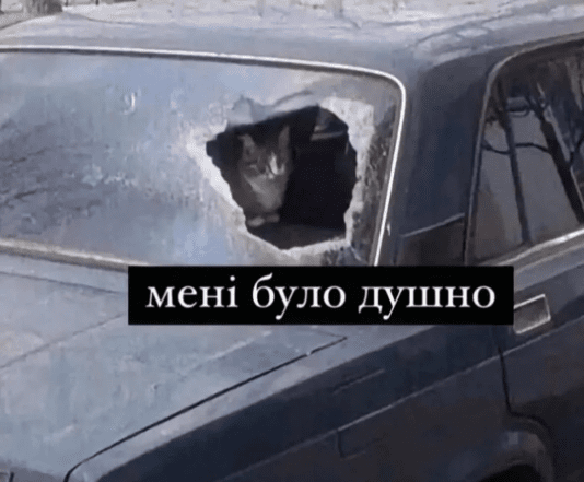 літня спека смішні приколи