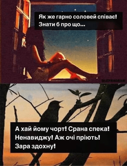 жарти про літню спеку