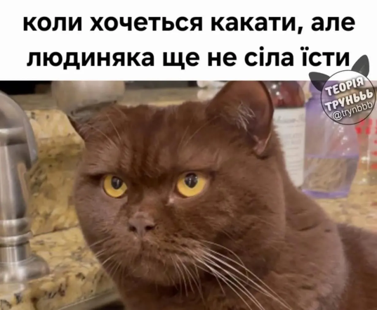 Шутки и мемы о буднях