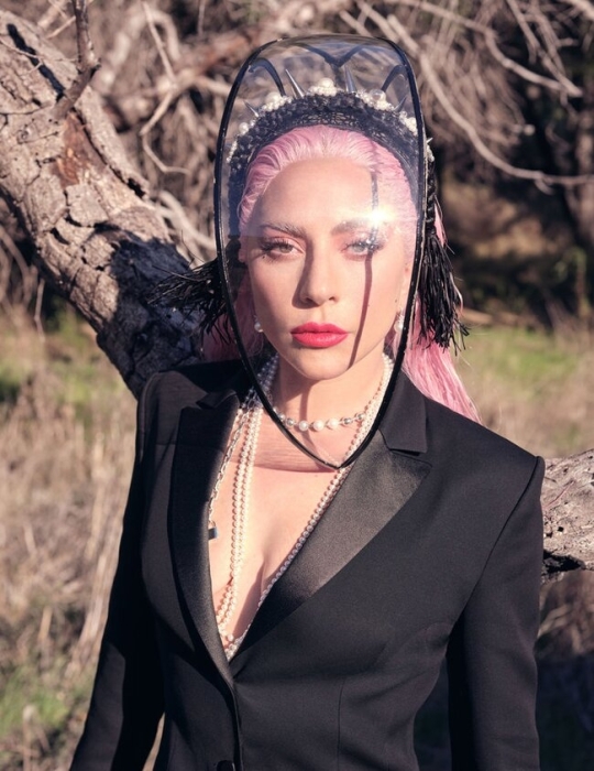 Роскошная Леди Гага снялась в нежной фотосессии для InStyle и призналась, что мечтает о семье (ФОТО) - фото №6
