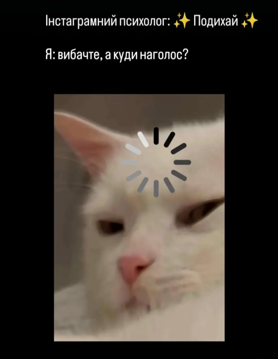 Самые смешные мемы о психотерапии