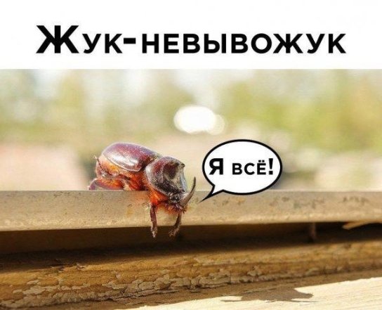 Подборка мемов о нервах